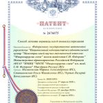 Patent 2676075